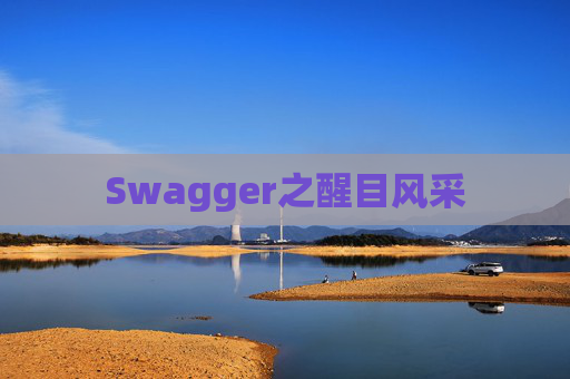 Swagger之醒目风采